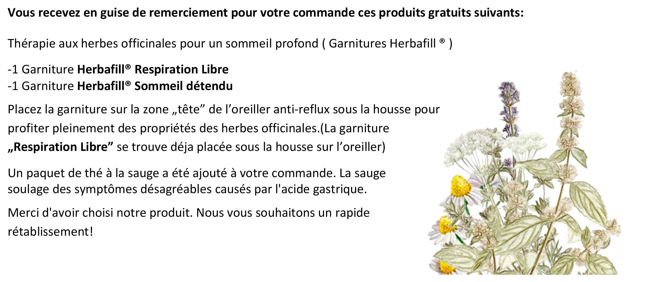 francia-megrendeles-leiras